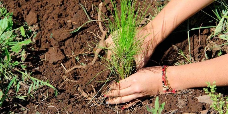 Importante promover conciencia por el medio ambiente